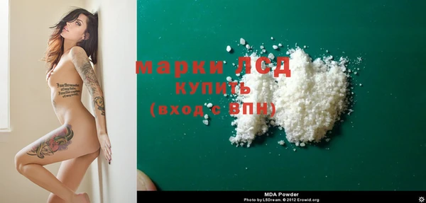 spice Инсар