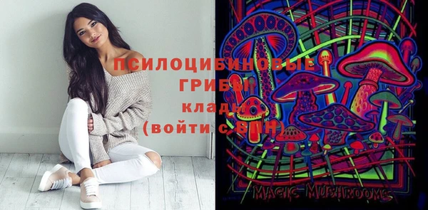 spice Инсар
