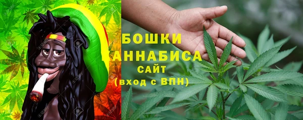 spice Инсар